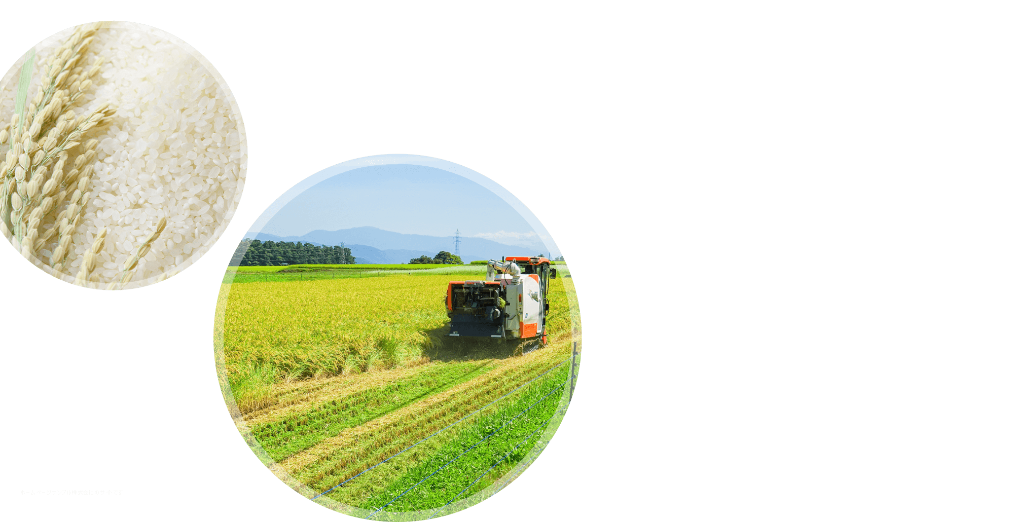 真岡市の菅谷農産は、市内随一の畑面積で地域の農業を盛り上げます。